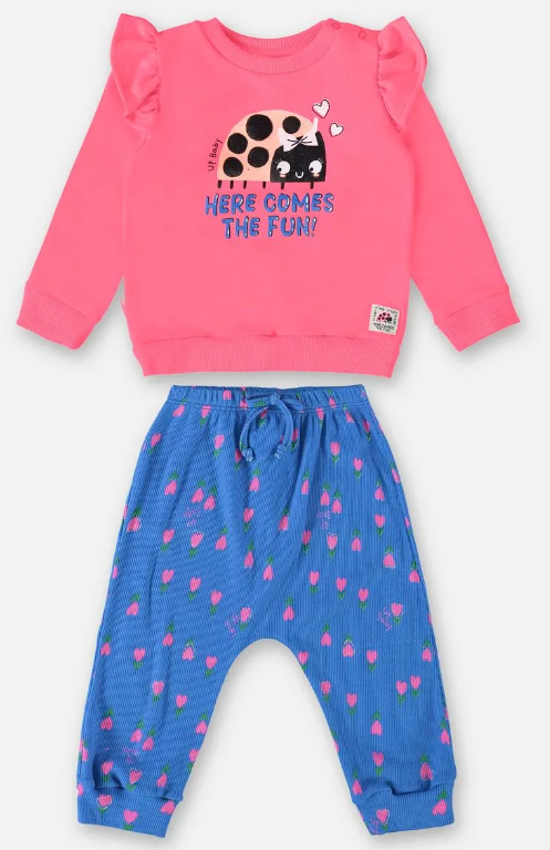 Conjunto