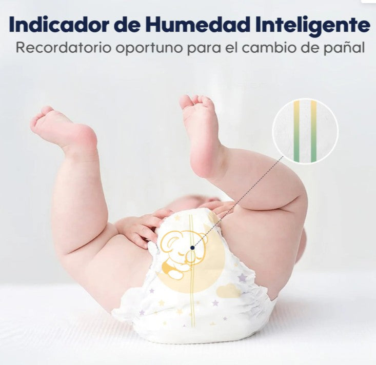 Dulce Noche talla P (60 unidades)